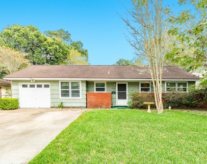 306 Caladium Street, Lake Jackson