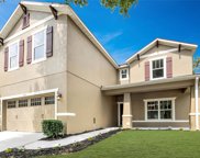 30102 Cheval St, Mount Dora image