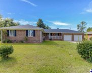409 S Morris Street, Lake City image
