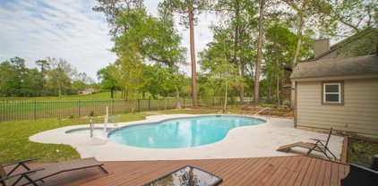 18 Wakerobin Court, Spring