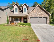 1339 Yarnell Station Blvd, Knoxville image