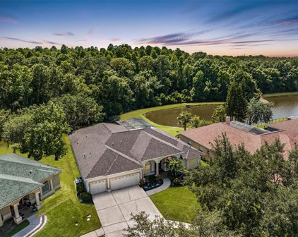 1237 Highwood Place, Wesley Chapel