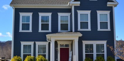 223 River Birch  Ave, Daleville