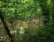 Bend of River Lane, Louisa image