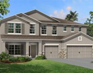 3138 Marine Grass Drive, Wimauma image