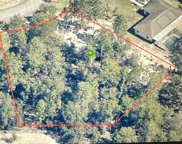 8707 N Hasting Drive, Dunnellon image