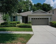 1117 Canyon Oaks Drive, Brandon image