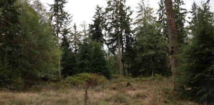 Old County Road, Greenbank