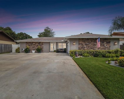 4118 Hollowtrail Drive, Tampa