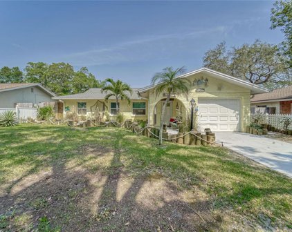 2248 Winchester Drive, Dunedin