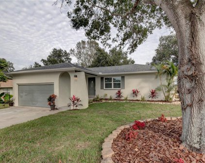 3174 Orchard Drive, Palm Harbor