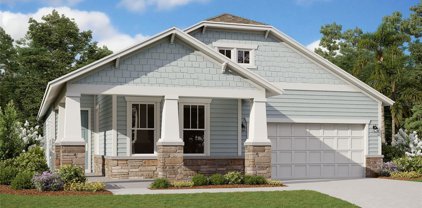 77 Twilight Lane, St Augustine