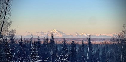 40735 Frogberry Street, Kenai