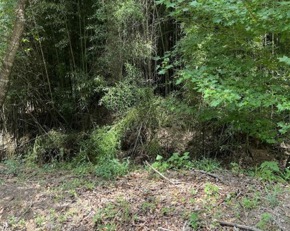 TBD CR 4130, Mt Vernon