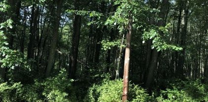 99 Mine Brook Rd, Bernards Twp.