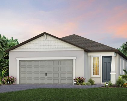6099 Shorebird Branch, Land O' Lakes