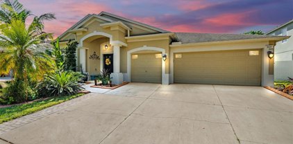 3531 Fortingale Drive, Wesley Chapel