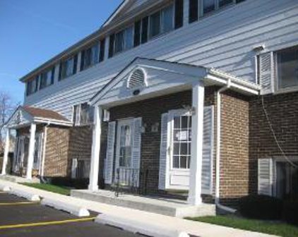 551 W Park Avenue Unit #B, Libertyville