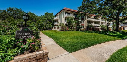 1012 Pearce Drive Unit 107, Clearwater