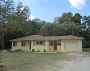 1147 Lincoln Avenue, Masaryktown image