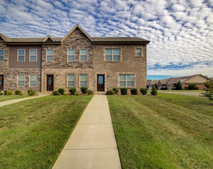 167 Dundee Dr, Clarksville