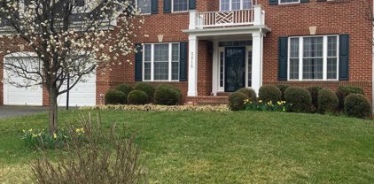 3815 Bell Manor Ct, Falls Church
