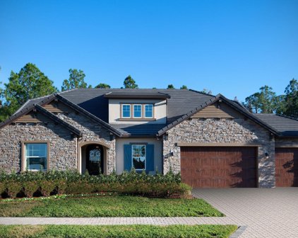 17810 Daisy Farm Drive, Lutz