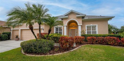 10238 Millport Drive, Tampa