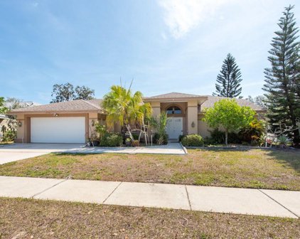 2732 Brambleridge Court, Holiday