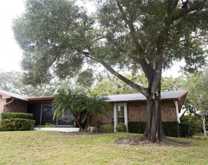 2280 Shelly Drive Unit A, Palm Harbor
