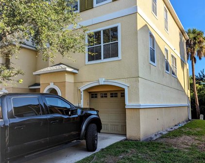 4868 Tuscan Loon Drive, Tampa