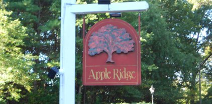 6 Apple Ridge Road Unit 6, Maynard