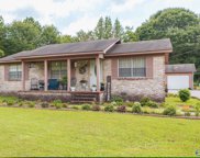 602 Ne College Street, Hartselle image