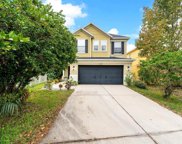 11309 Lady Fern Place, Riverview image