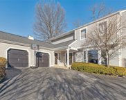 13215 Pinetree Lake  Drive, Chesterfield image