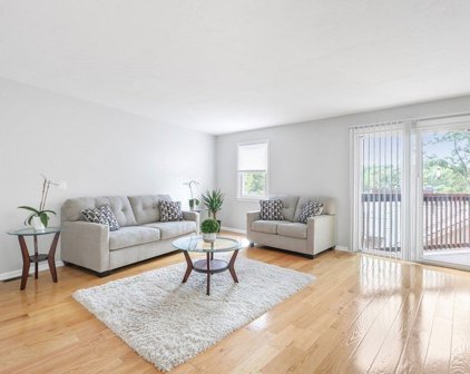 306 Tappan Street Unit B, Brookline
