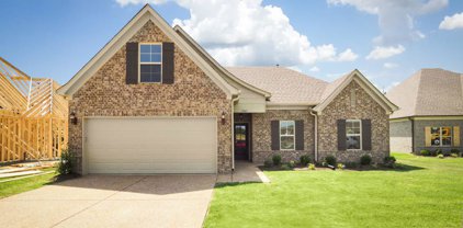 8631 Channing Lane, Southaven