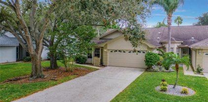 3002 Covewood Place, Clearwater