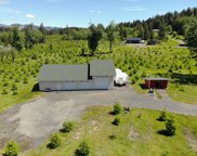 40412 NE SKYE VIEW DR, Washougal image