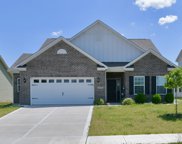 9683 Pica Drive, Fishers image