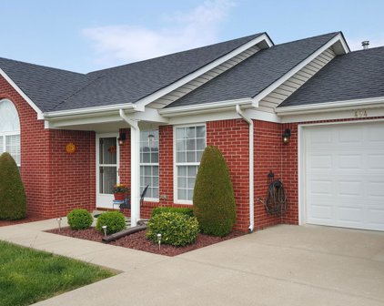 494 Louise Way, Mt Washington
