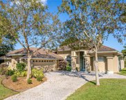 24931 Saranac Court, Eustis image