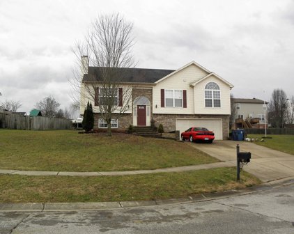 128 Woodfield Cir, Shelbyville