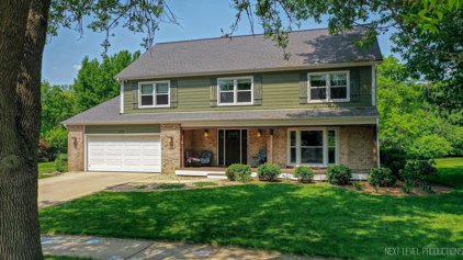 619 Fredericksburg Court, Naperville