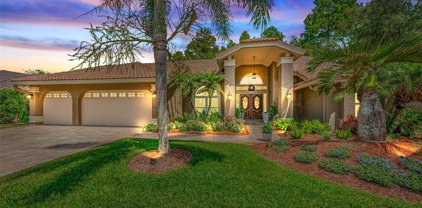 2217 Windsong Court, Safety Harbor