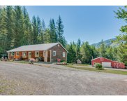 29709 NE RAILROAD AVE, Yacolt image