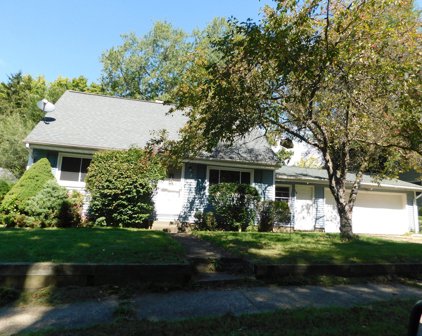 314 Remus Drive, Buchanan