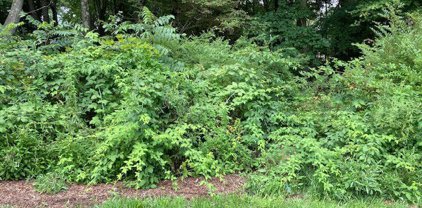 Forresta Dr, Penn Twp - But