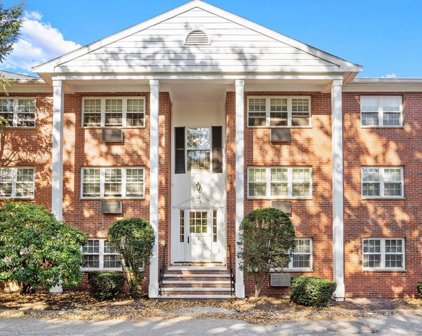 2 Old Colony Lane Unit 3, Arlington