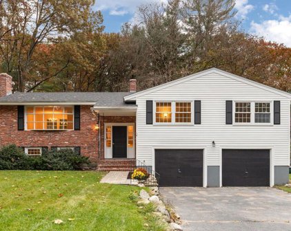 4 Laredo Drive, Chelmsford